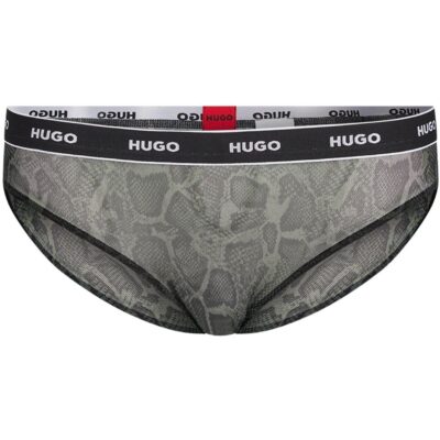 Hugo Hugo Brief Python Ld31